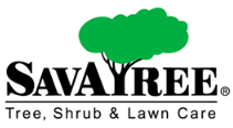 Savatree company logo